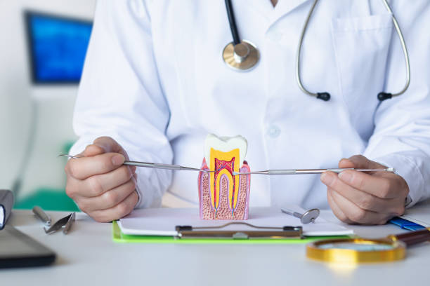 Best Emergency Treatment for Dental Infections or Abscesses in Redwood Falls, MN